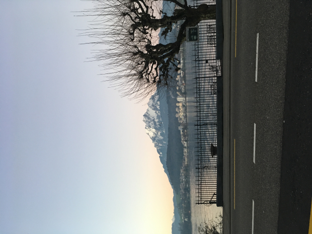 LUZERNPHOTOGEN