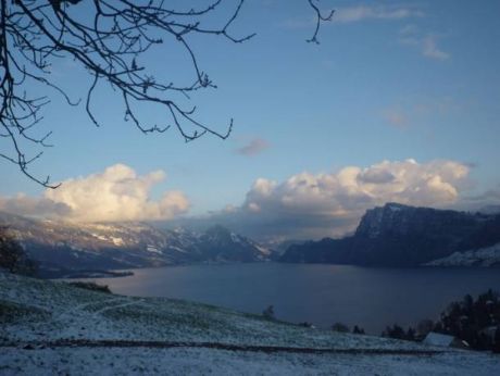 LUZERNPHOTOGEN