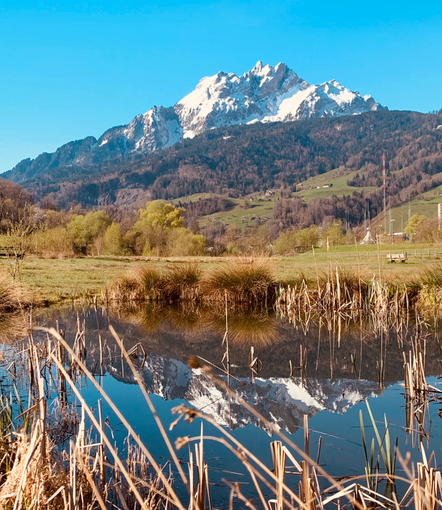 LUZERNPHOTOGEN