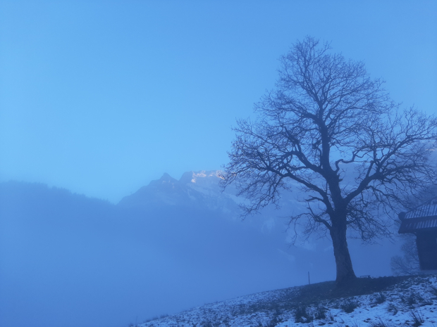 LUZERNPHOTOGEN