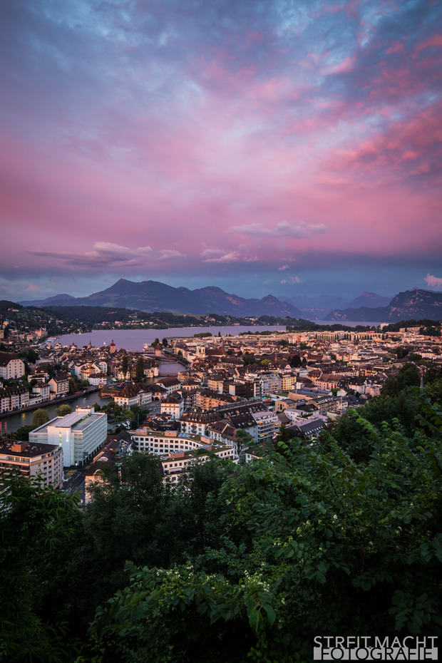 LUZERNPHOTOGEN