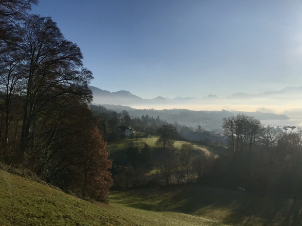 LUZERNPHOTOGEN