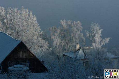 ST.GALLENPHOTOTRIP