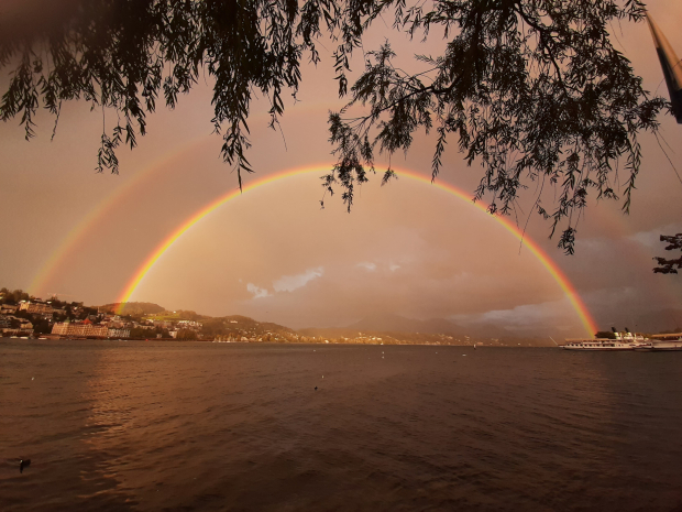 LUZERNPHOTOGEN