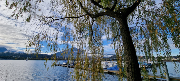 LUZERNPHOTOGEN