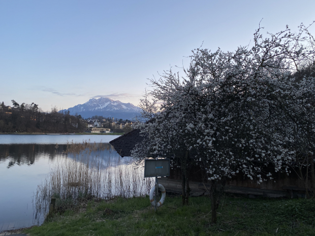 LUZERNPHOTOGEN