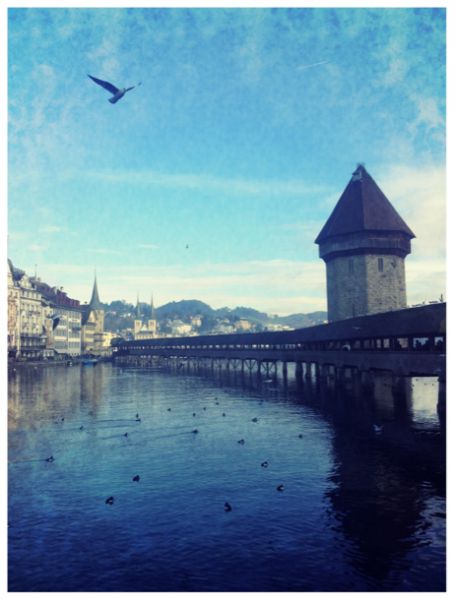 LUZERNPHOTOGEN