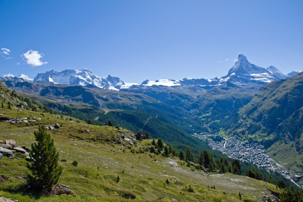 Romandie Safari