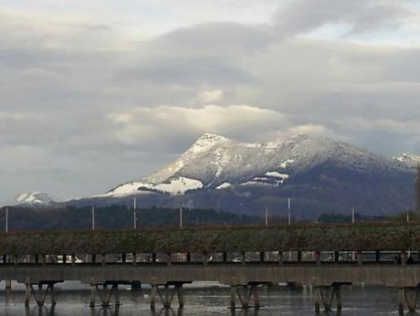 LUZERNPHOTOGEN