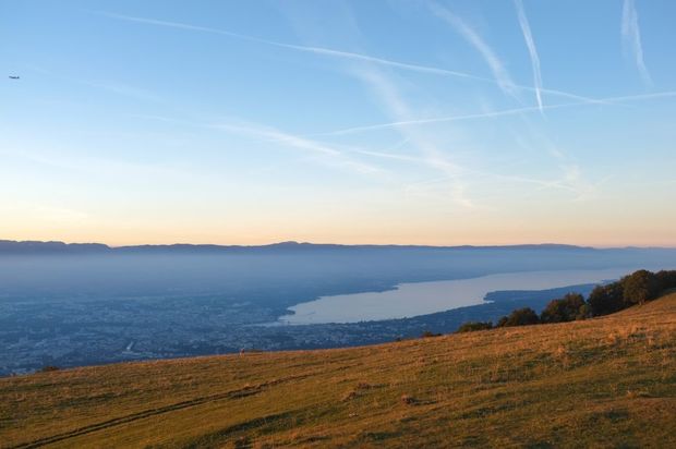 Genève Safari Photo