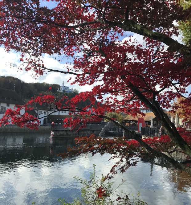 LUZERNPHOTOGEN