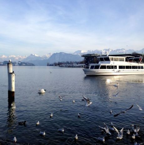 LUZERNPHOTOGEN