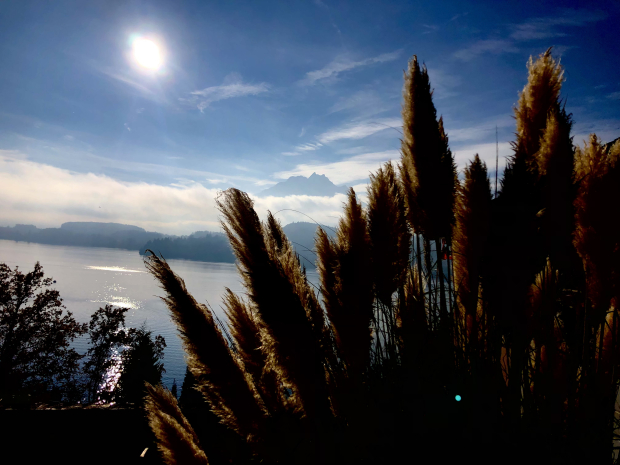 LUZERNPHOTOGEN