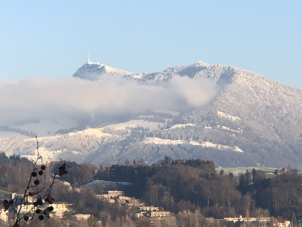 LUZERNPHOTOGEN