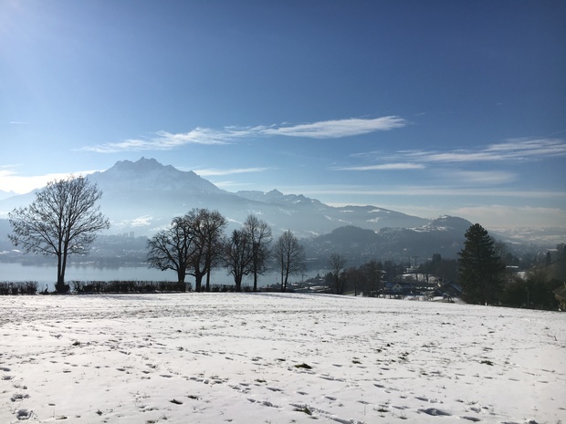 LUZERNPHOTOGEN