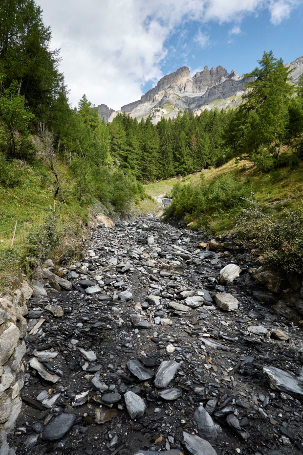 Romandie Safari