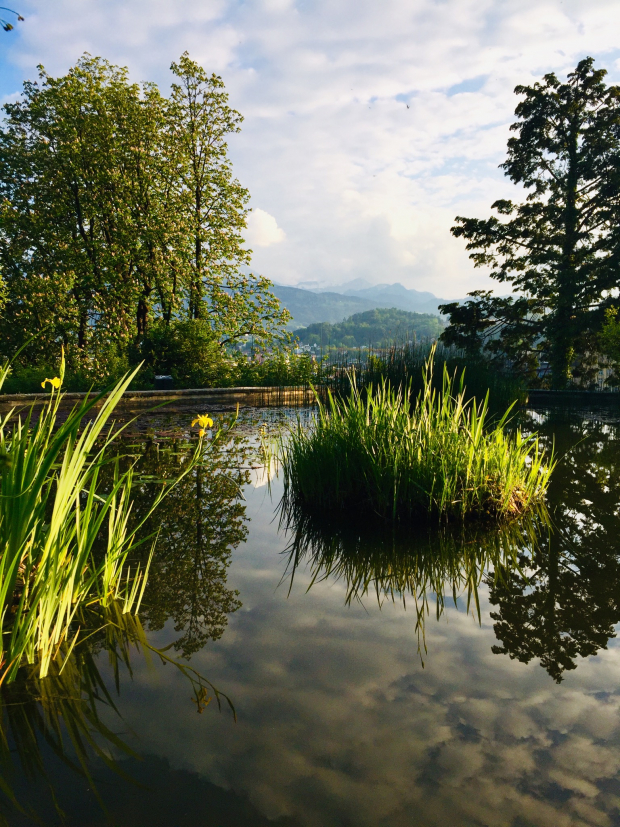 LUZERNPHOTOGEN