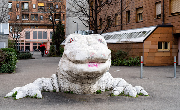 Tiere in der Stadt