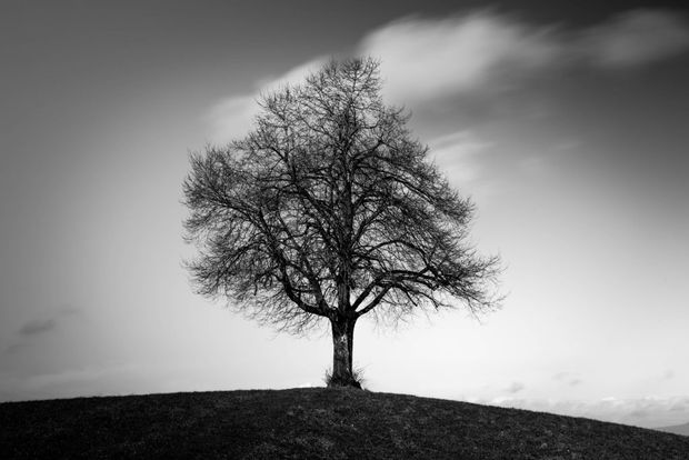 Ron kuratiert deine Ausstellung in der Photobastei