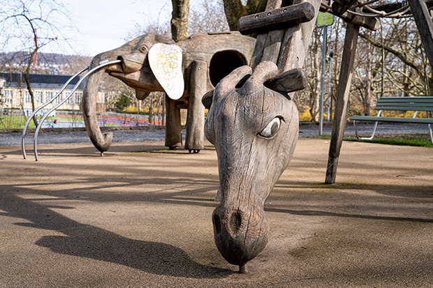 Tiere in der Stadt