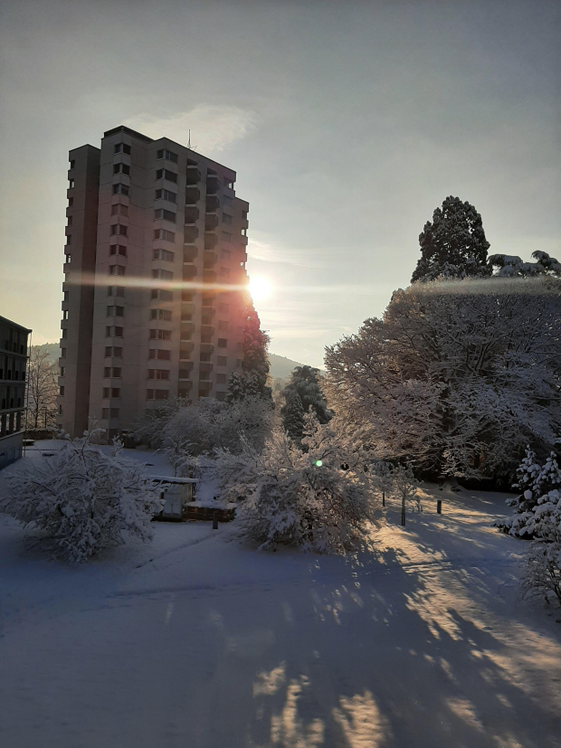 LUZERNPHOTOGEN