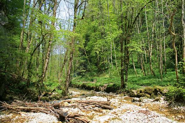 Sonntags-Nachmittag Wanderung im Chaltbrunnental