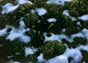 Weihnachtsmarkt, Eisblumen und Schneeflocken