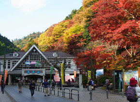 Die ländlichen Ecken von Tokio | Japan-Geheimtipps