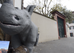 Auf Streifzügen durch die schönste Stadt