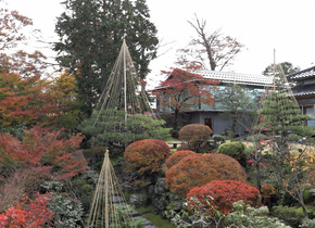 Herbst in Japan | Japan-Reisetipps