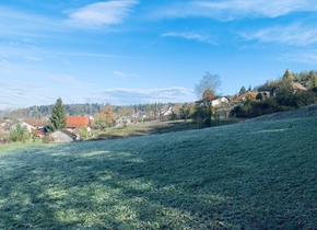 Bei uns in Seen wird gebaut, zwei