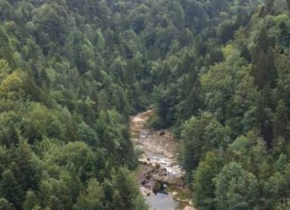 Ron auf dem Brückenweg