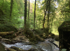 Kaltbrunnental