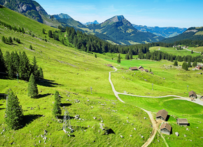 Pro Natura Vaud: tes activités 2021!