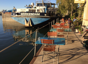 Ceviche aus dem Rostigen Anker