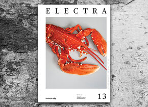 ELECTRA Magazin Nr. 13 über Food: Trend, Kultur, Kult