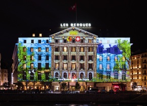 Un magnifique spectacle lumineux