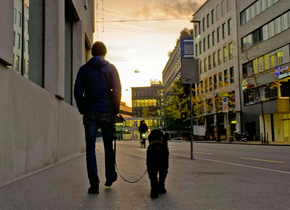 24 Orte in Zürich, die ihr mit Kindern bei schlechtem...