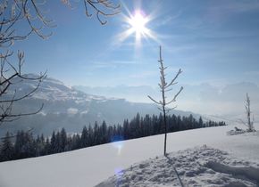 Hoher Hirschberg: Schlittelspass inklusive