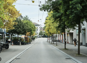 Sommertipp: Bäume