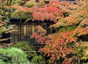 Herbst in Kyoto