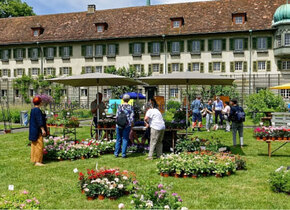 Natürlich im Kloster