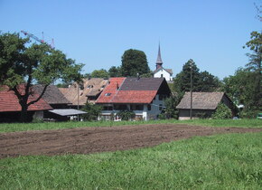 Stadtgrenze im Fokus: Witikon