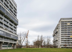 Stadtgrenze im Fokus: Affoltern