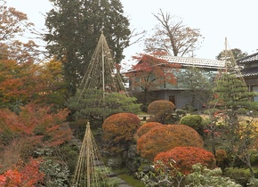 Die schönsten Aussichtspunkte in Tokio | Japan-Reisetipps