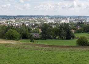 Stadtgrenze im Fokus: Schwamendingen