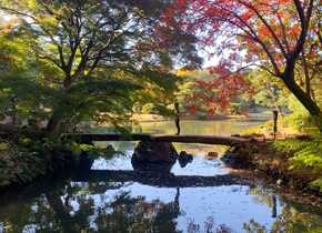 Kanazawa: Perle am Japanischen Meer