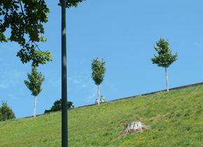 Durch Bern spaziert: Im Westen nichts Neues - oder doch?