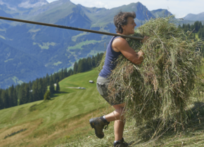 Sommer auf der Alp