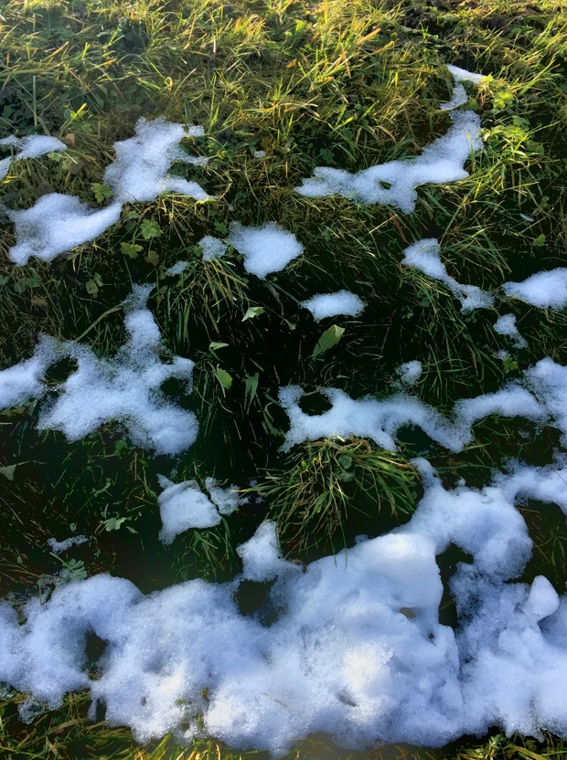 Weihnachtsmarkt, Eisblumen und Schneeflocken